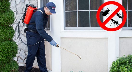 Ardahan Gümüşkurt İlaçlama böcek ilaçlama ve haşere kontrolü — ilaclama-tr.com